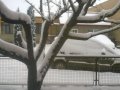 WP_20150125_002.jpg